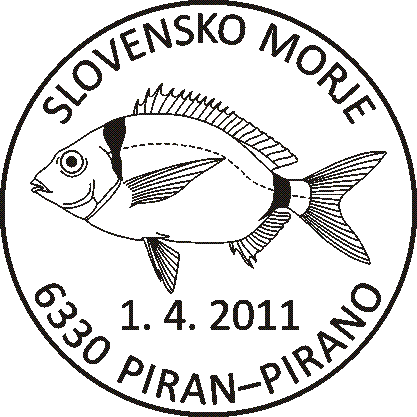 Frater (Diplodus vulgaris)