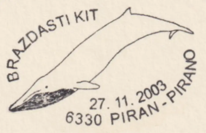 Balaenoptera physalus