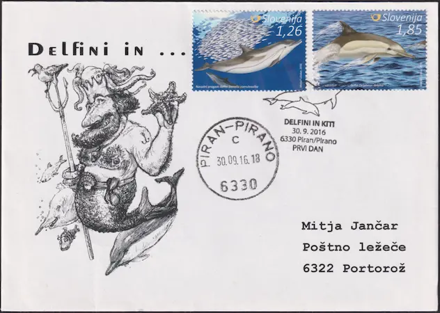 OPD (FDC) delfini