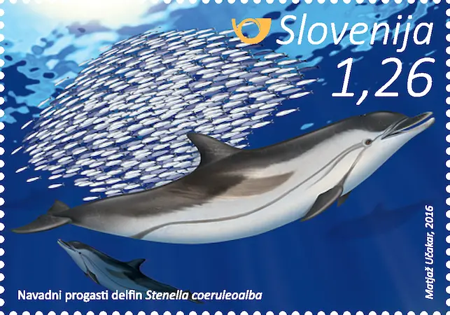 navadni progasti delfin