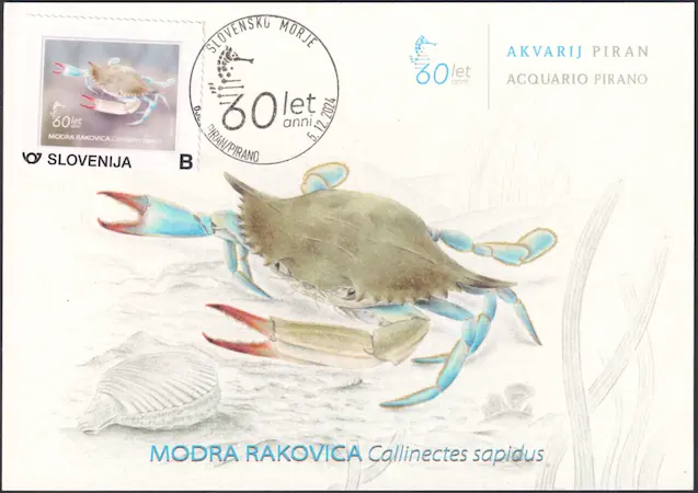 Modra rakovica